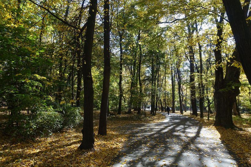 Ehemaliger Volksgarten (heute: Taras Ševčenko-Park)